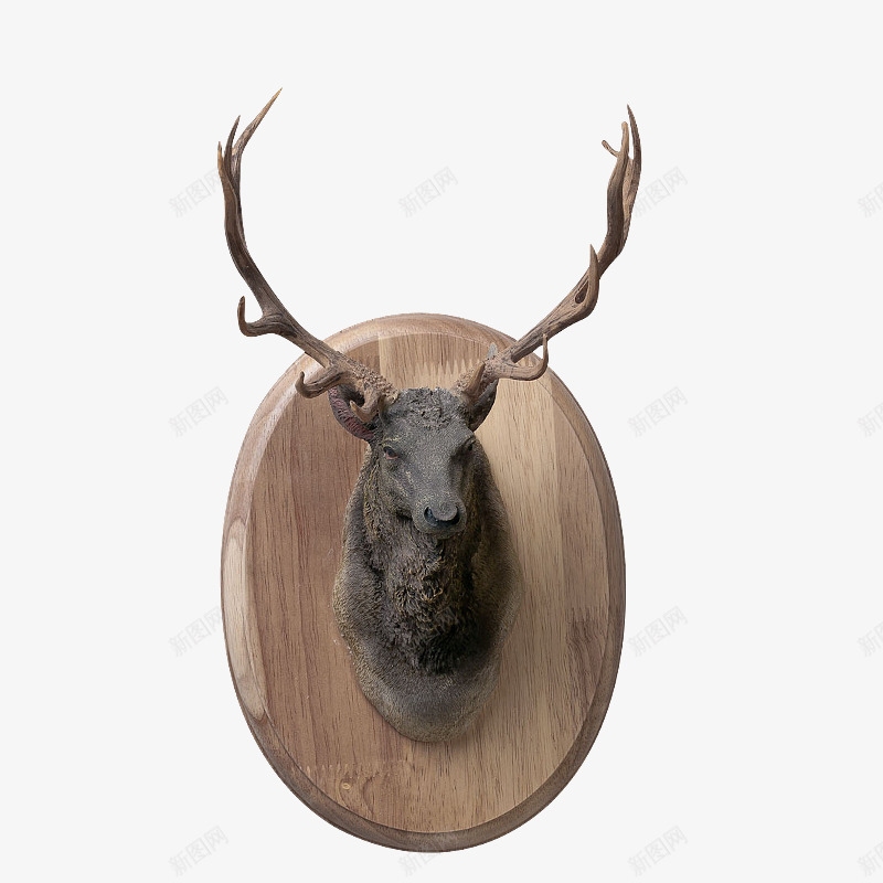 墙上装饰鹿头壁挂树脂png免抠素材_88icon https://88icon.com 产品实物 动物壁饰 灰色的鹿头 牛头立体 背景墙面挂饰 鹿头像 麋鹿挂件