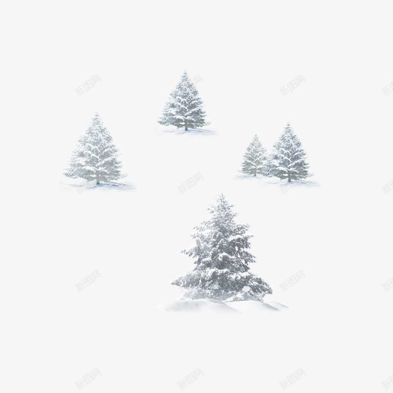 冬天松树png免抠素材_88icon https://88icon.com 冬 冬天松树 冬季树木 圣诞 天寒地冻 松柏 树木 白色雪景 白色雪松 白雪松 雪松 雪松树