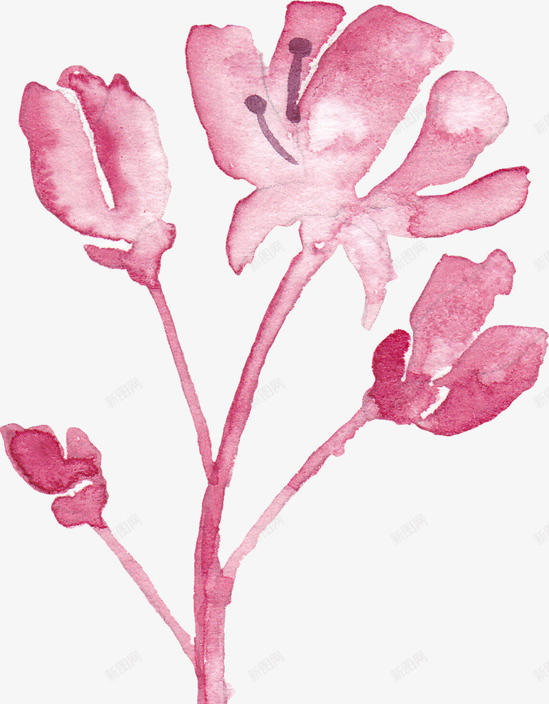粉色的一株花png免抠素材_88icon https://88icon.com 手绘 植物 粉色 花朵