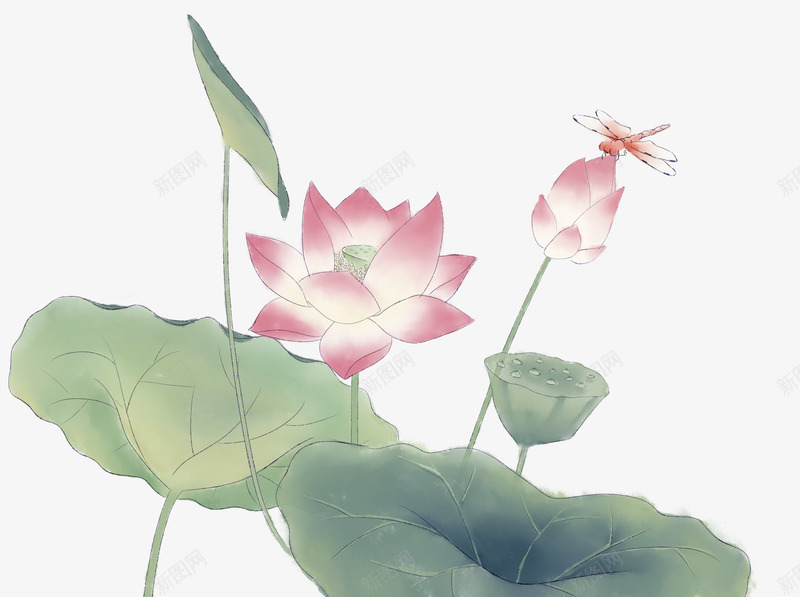 手绘装饰小清新荷花元素psd免抠素材_88icon https://88icon.com 小清新 手绘插画 手绘莲花荷花荷叶满池塘 荷叶 荷花 蜻蜓 装饰图案