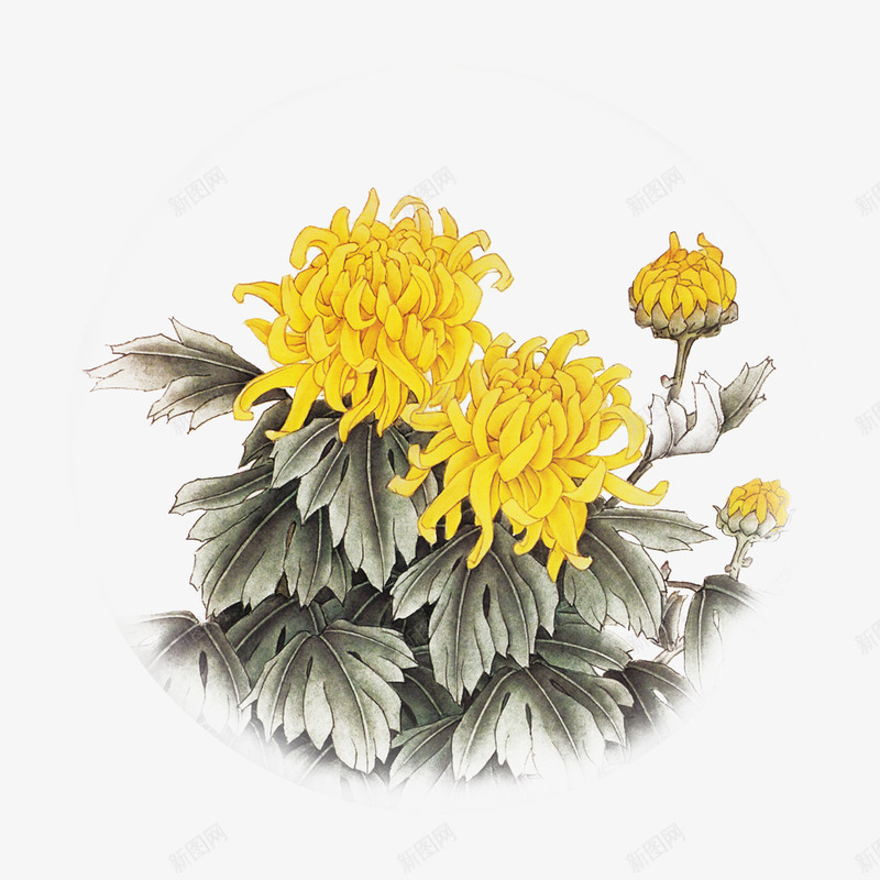 水墨黄色菊花秋菊png免抠素材_88icon https://88icon.com 中国风菊花 古风手绘菊花素材 墨菊花 水墨 法国蜡菊 秋菊 菊花 菊花图案 菊花花束 重阳 黄色 黄色菊花图片
