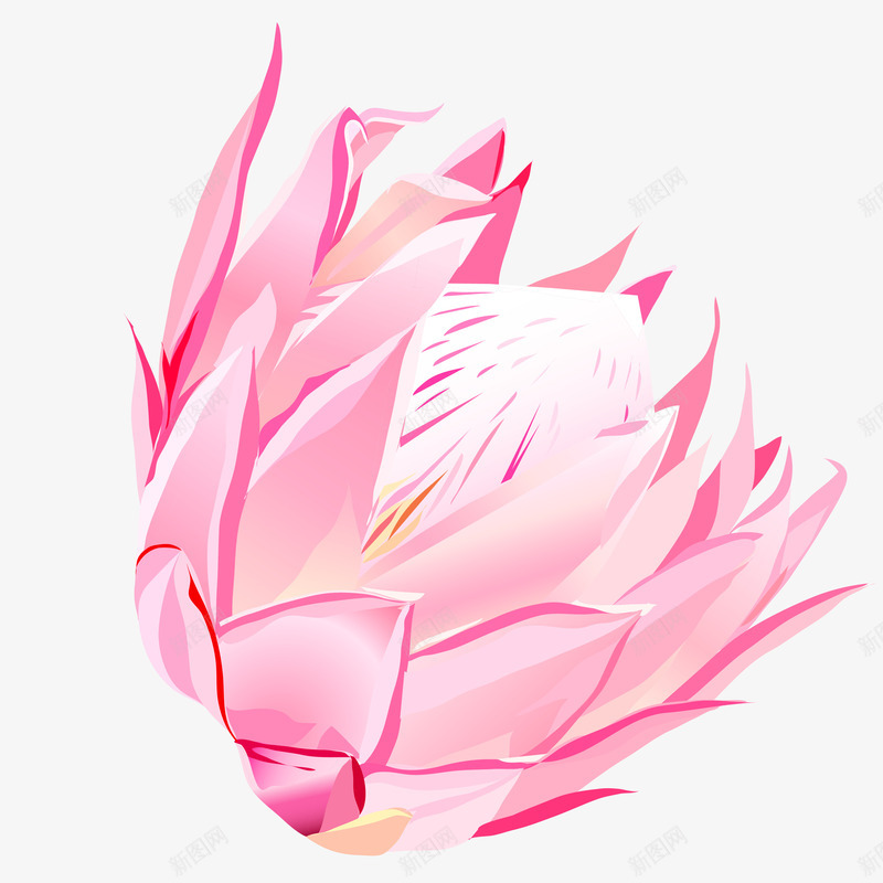 粉色莲花装饰案矢量图ai免抠素材_88icon https://88icon.com 卡通 手绘 投影 粉色 纹理 纹路 莲花 装饰 质感 阴影 矢量图
