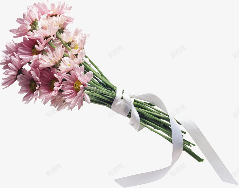 一束野菊花png免抠素材_88icon https://88icon.com 花 花束 菊花图案 菊花花束 野花 鲜花
