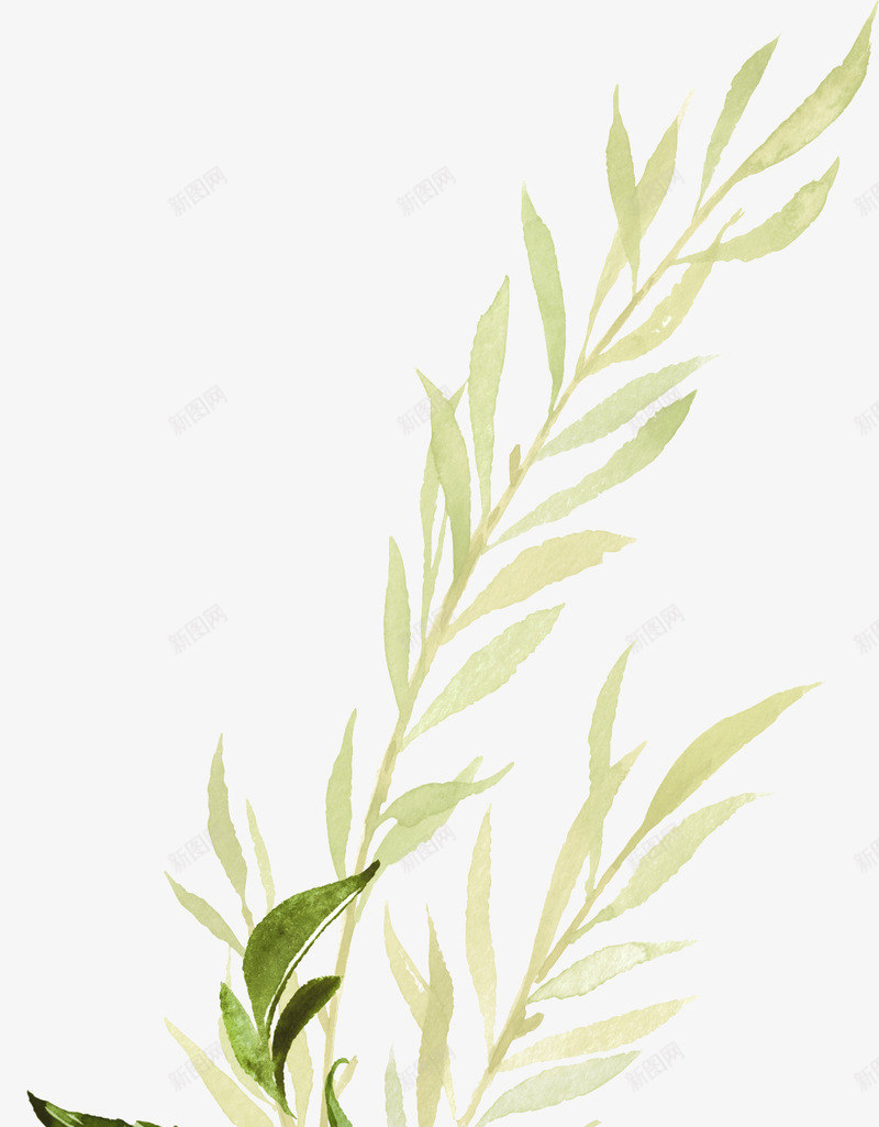 清新的手绘绿植叶子png免抠素材_88icon https://88icon.com 手绘 枝子 清新 绿植
