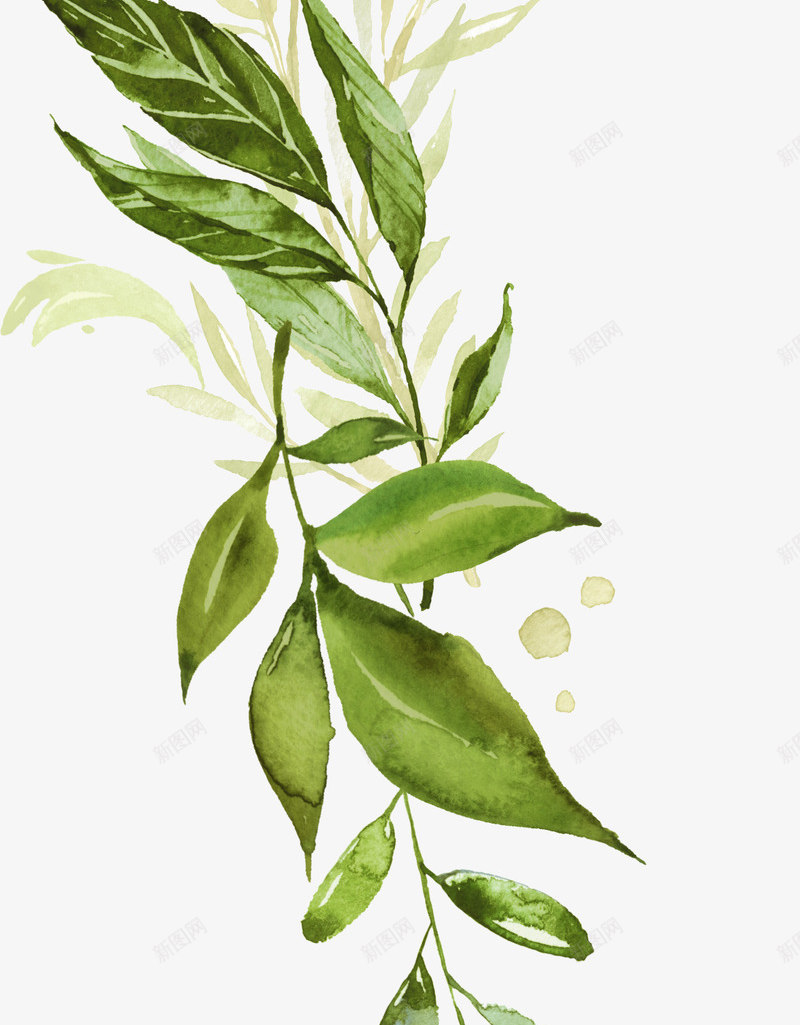 清新的手绘绿植叶子png免抠素材_88icon https://88icon.com 手绘 枝子 清新 绿植