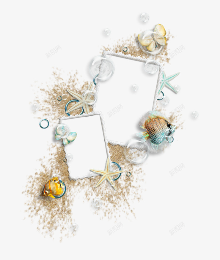 双相框png免抠素材_88icon https://88icon.com 沙滩 海星 贝壳 边框