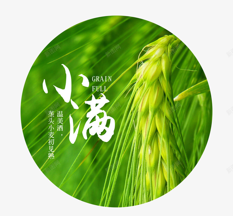 绿色小清新二十四节气小满手机海psd免抠素材_88icon https://88icon.com 24节气 二十四节气 小清新 小满 手机海报 绿色 绿色小清新二十四节气小满手机海报免费下载 麦穗