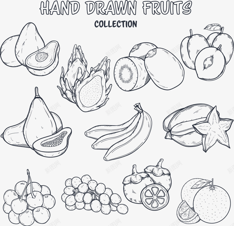 手绘素描水果矢量图ai免抠素材_88icon https://88icon.com 填色练习 大香蕉大 手绘 杨桃 火龙果 矢量图 素描 香蕉 黑白水果