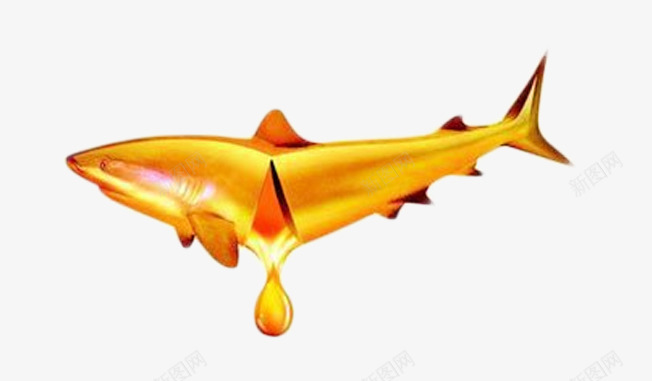 深海鱼油png免抠素材_88icon https://88icon.com 深海鱼 深海鱼油 补充营养 金色的鱼 鱼油