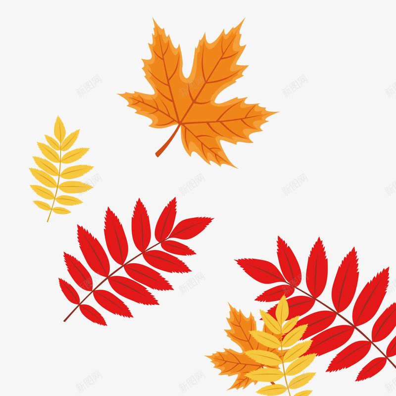 红色的叶子矢量图ai免抠素材_88icon https://88icon.com 儿童插画 可爱插画 枫叶 海报 秋季 红色叶子 矢量图