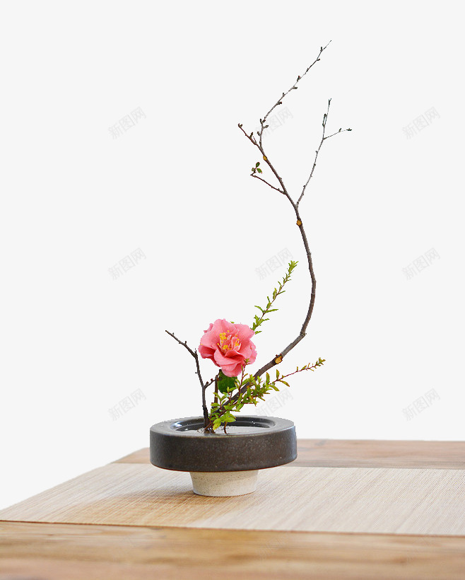 桌子上的盆景png免抠素材_88icon https://88icon.com 树枝 桌子 盆栽 背景装饰 鲜花