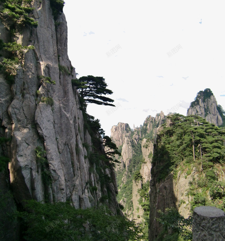 悬崖山石png免抠素材_88icon https://88icon.com 俊美 勿忘我花 山崖 屹立 岩石 悬崖剖面纹理 悬崖边 星辰花 景观 树木 陡峭