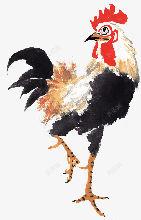 鸡png免抠素材_88icon https://88icon.com 12生肖 中国风 十二生肖水墨画 活鸡 生肖