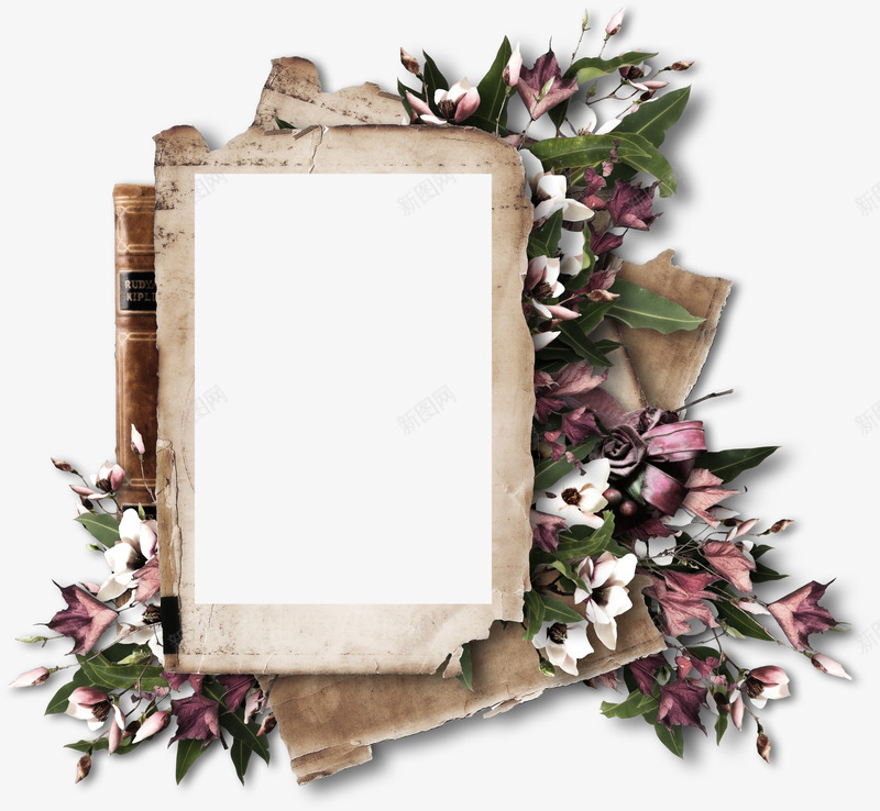相框png免抠素材_88icon https://88icon.com 复古 框架 画框 相框 花饰 边框
