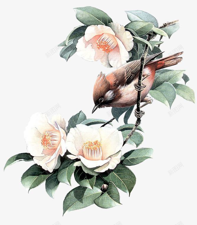 花枝小鸟png免抠素材_88icon https://88icon.com png素材 小鸟 花枝