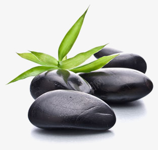 黑色石头png免抠素材_88icon https://88icon.com 叶子 堆石块 石头 竹叶 绿色 背景装饰 黑色