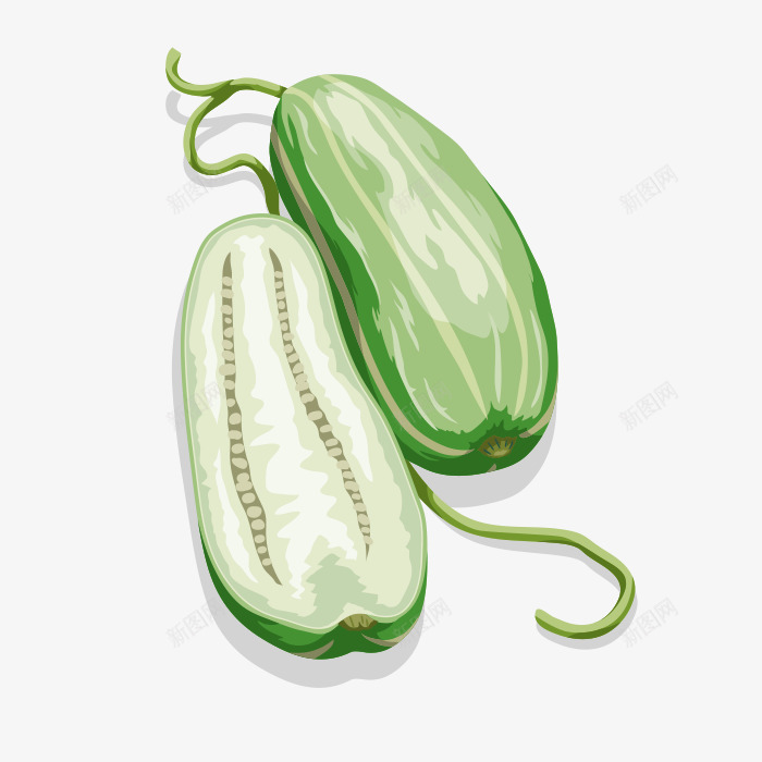 西葫芦简图png免抠素材_88icon https://88icon.com 卡通 手绘 桔梗 瓜籽 白色 简图 绿色 西葫芦