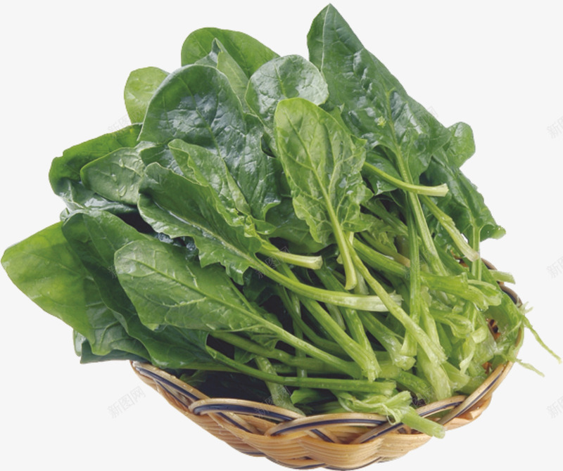 新鲜菠菜png免抠素材_88icon https://88icon.com 绿色 蔬菜 赤根菜 青菜 食材 食物