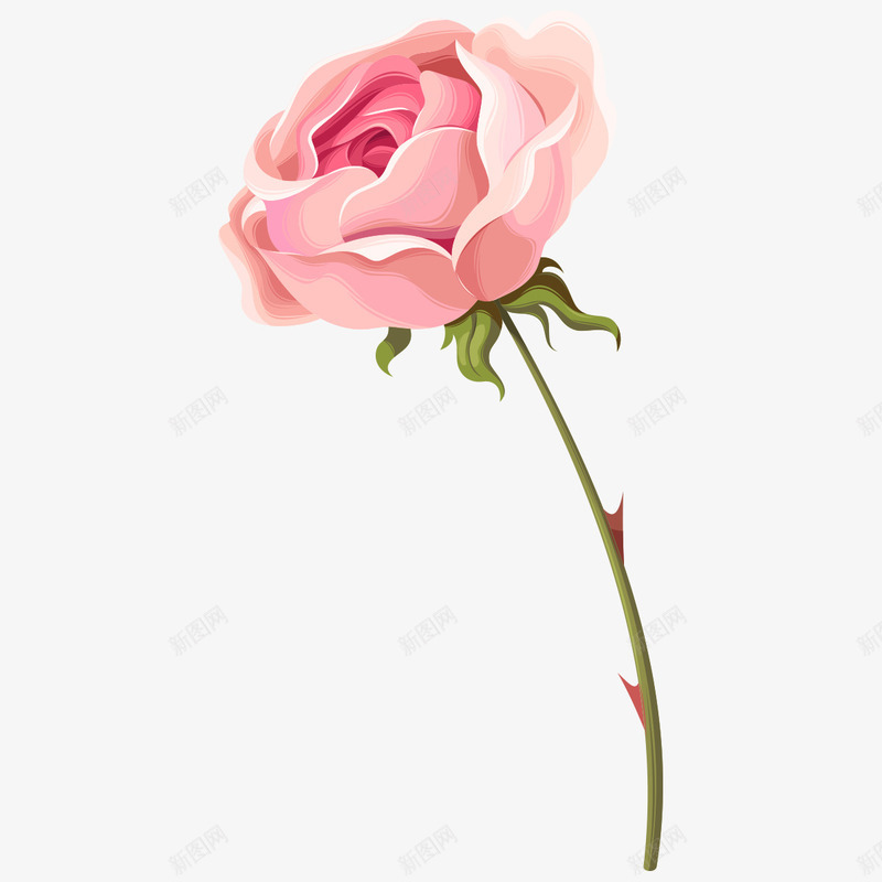 粉色玫瑰花朵png免抠素材_88icon https://88icon.com 一朵 卡通 手绘 桔梗 玫瑰花 粉色 绿色 装饰