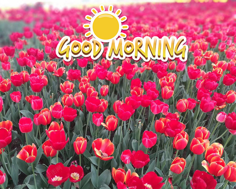 Goodmorningpsd免抠素材_88icon https://88icon.com good morning 图 早上好 早安图 英文早上好 英文早安 问候