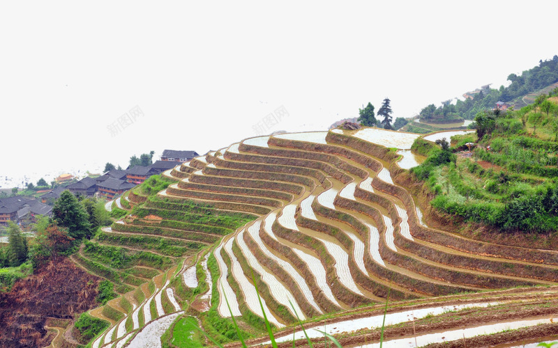 广西龙脊梯田二png免抠素材_88icon https://88icon.com 名胜古迹 旅游风景 著名建筑