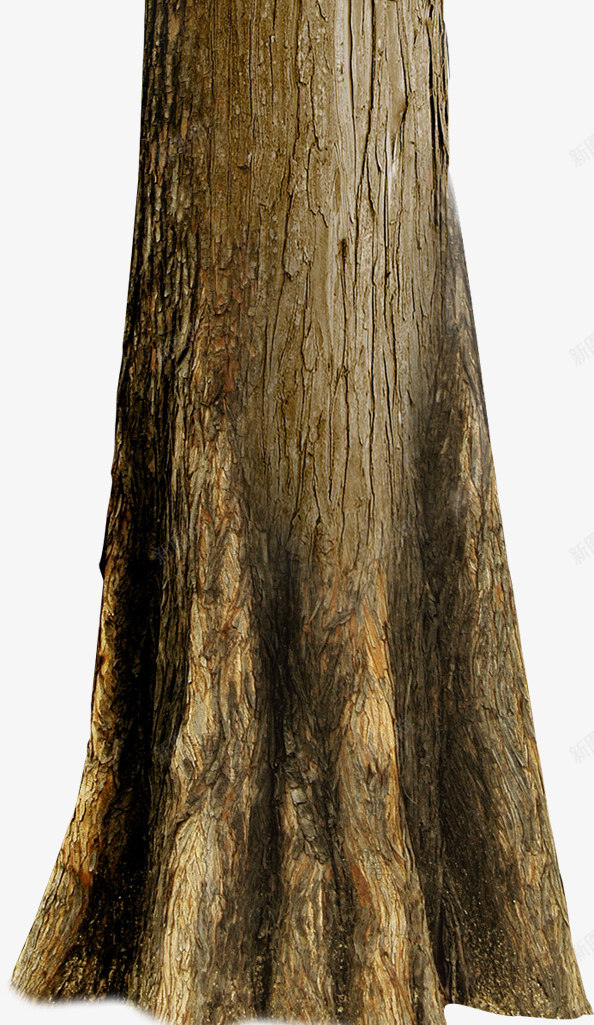 树干年轮美景png免抠素材_88icon https://88icon.com 年轮 树干 树干图 粗树干 美景