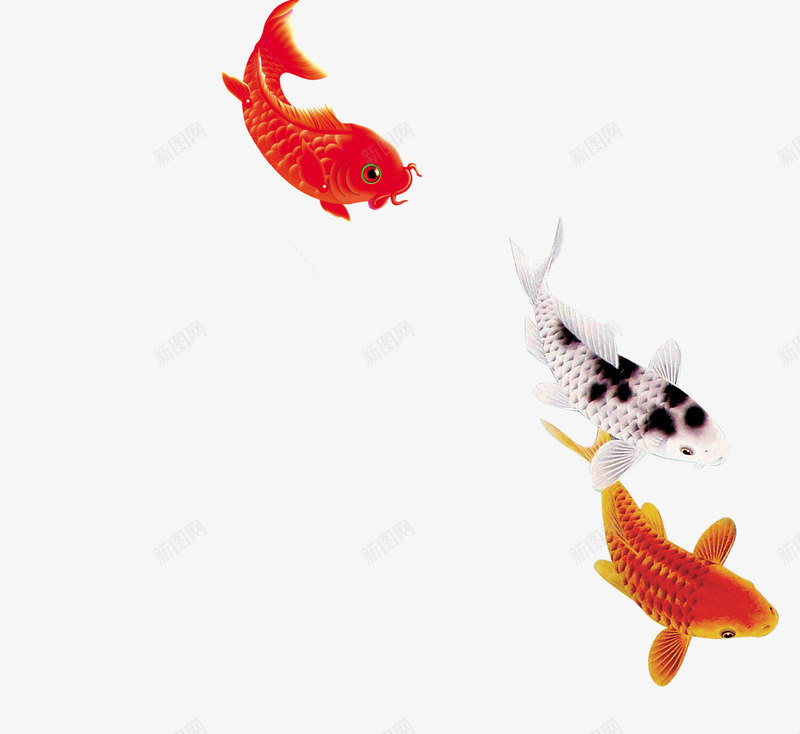 唯美精美鱼锦鲤鲤鱼金鱼psd免抠素材_88icon https://88icon.com 唯美 精美 金鱼 锦鲤 鱼 鲤鱼