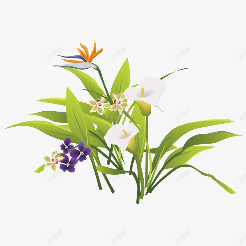 清新绿叶草矢量图ai免抠素材_88icon https://88icon.com 清新 白色 紫色 绿叶 绿色 花朵 矢量图