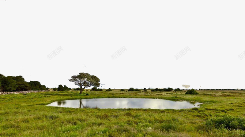 2017水水潭png免抠素材_88icon https://88icon.com 无色 水 水潭 风景