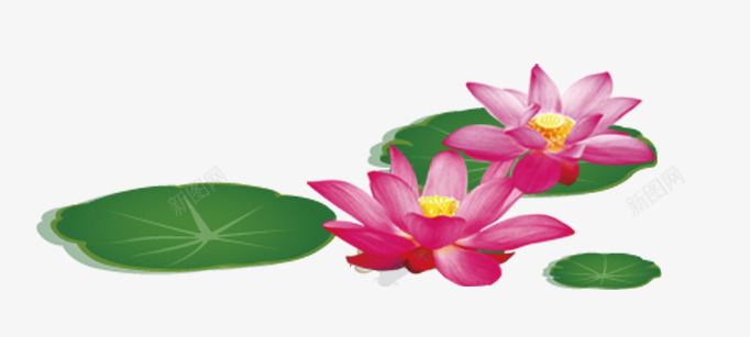 红莲卡通荷叶psd免抠素材_88icon https://88icon.com 卡通荷叶 平面装饰 红莲 装饰图案