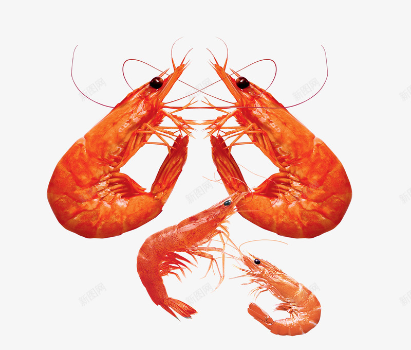 海鲜虾米psd免抠素材_88icon https://88icon.com 海鲜 美食 虾