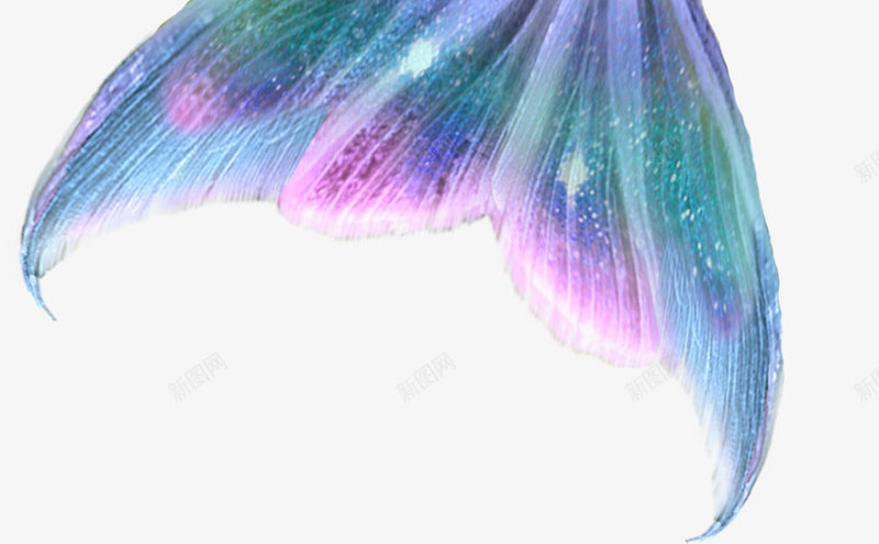 美人鱼尾巴png免抠素材_88icon https://88icon.com 尾巴 美人鱼 色彩 鱼尾