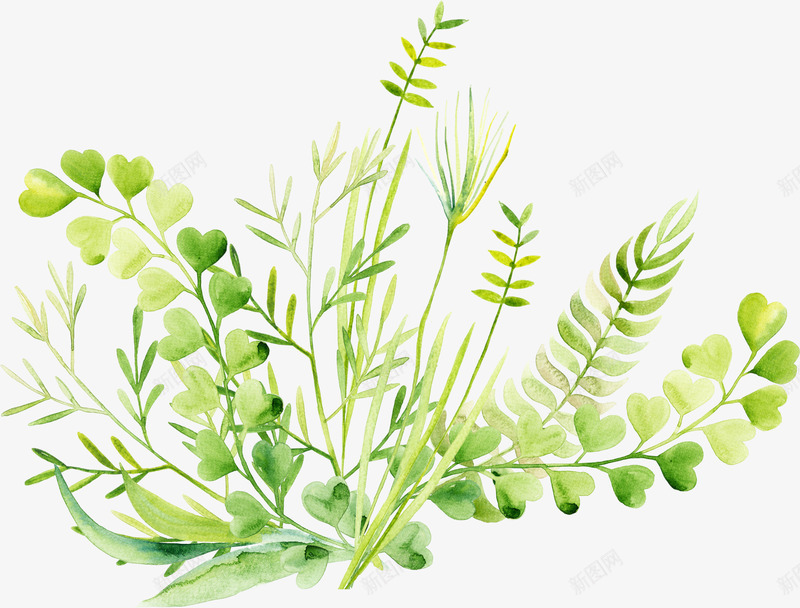 树叶树枝藤蔓png免抠素材_88icon https://88icon.com PNG 小清新 手绘 树叶 树枝 水彩 泼墨 绿叶 绿色 缠绕的花藤 花藤 藤蔓
