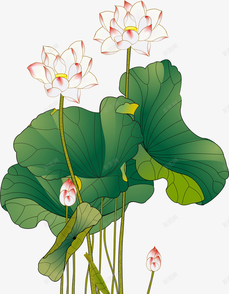 彩色水墨中国风荷花矢量图ai免抠素材_88icon https://88icon.com AI 中国风 中国风荷花 卡通 国画 工笔荷花 彩色工笔画 彩色水墨 手绘 水墨 矢量图 竹子荷花荷叶满池塘 荷叶 荷花 莲花