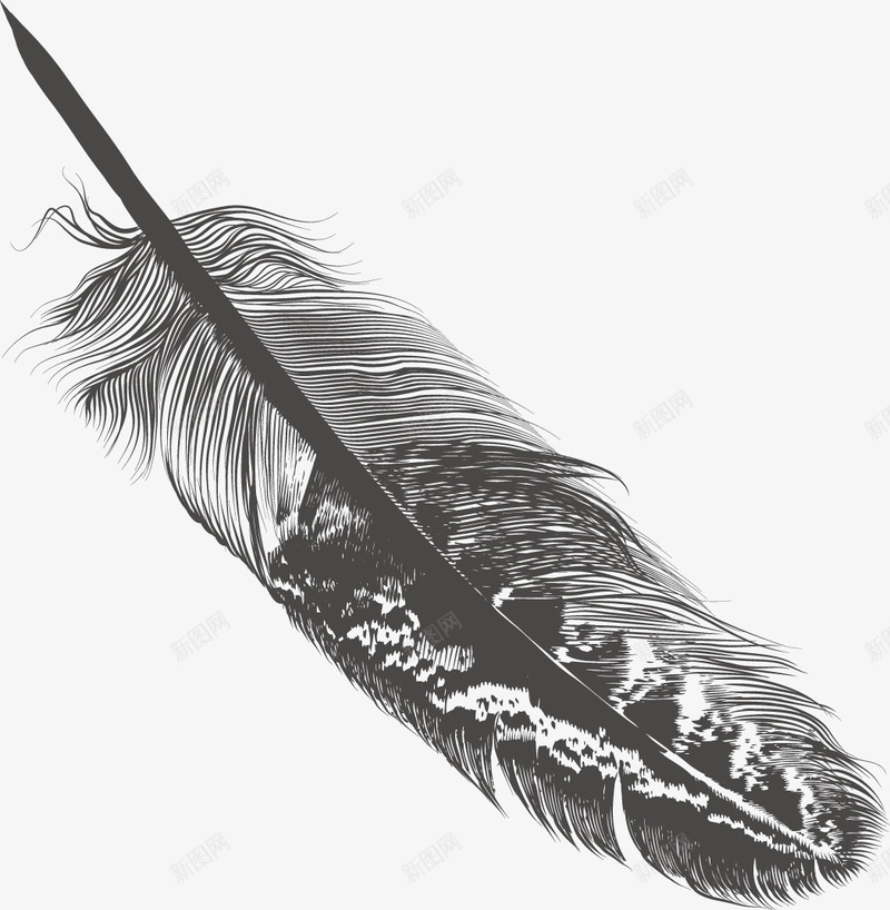 手绘母鸡精美羽毛矢量图ai免抠素材_88icon https://88icon.com 修饰 家禽 工艺 手绘 手绘母鸡精美羽毛 母鸡 精美 羽毛 矢量图