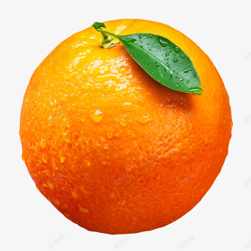 橙色香甜带水珠的水果奉节脐橙实png免抠素材_88icon https://88icon.com 免扣 免费下载 冰糖橙 奉节脐橙 橙子 橙色 橙色香甜带水珠的水果奉节脐橙实物免费下载 水果 江西橙 甜橙 香橙