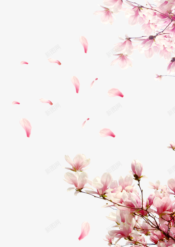 桃花花瓣节日鲜花png免抠素材_88icon https://88icon.com 飞舞花瓣 桃花花瓣 玫瑰花花瓣 粉红素材 节日 飘落装饰 鲜花