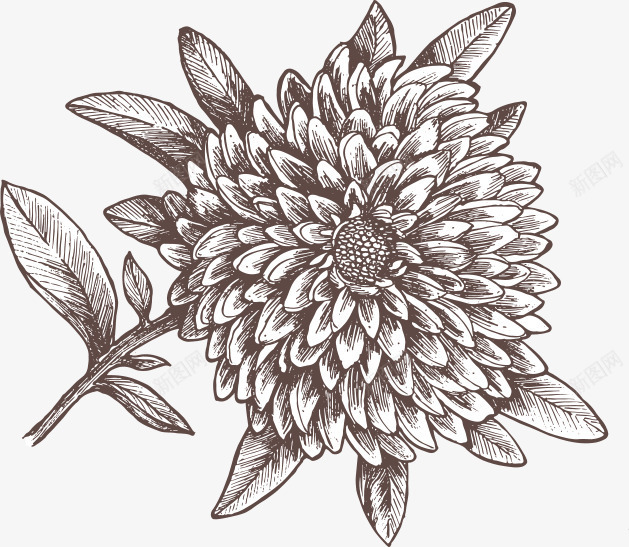 手绘黑色地瓜花素描png免抠素材_88icon https://88icon.com 印花图案 地瓜花 布料印花 植物花卉 花卉 花朵写生 花朵素描 花线稿 花草插画 装饰
