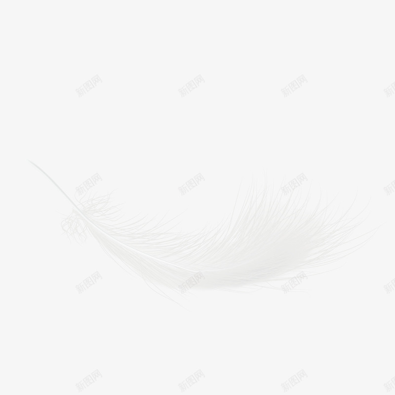 白色羽毛矢量图ai免抠素材_88icon https://88icon.com PNG免抠图下载 毛发 装饰 轻飘飘 鸟毛 鹅毛 矢量图