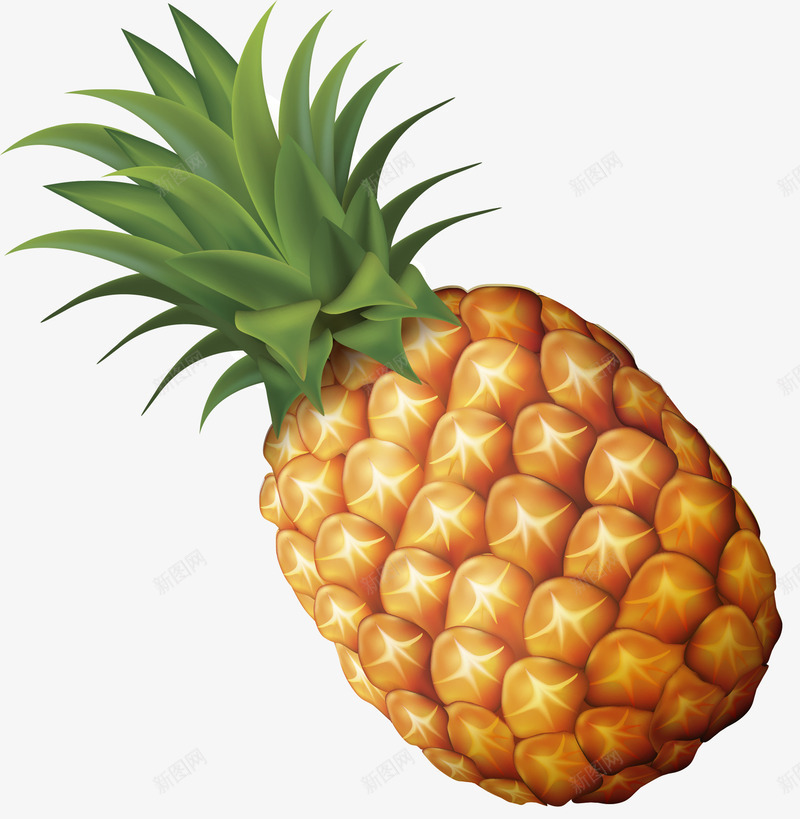 菠萝手绘卡通水果png免抠素材_88icon https://88icon.com 卡通 手绘 水果 菠萝
