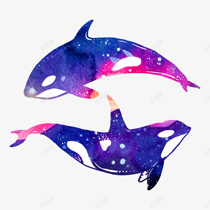 水墨鲸鱼png免抠素材_88icon https://88icon.com 两条 卡通 可爱 水墨 紫色 蓝色 鱼尾 鲸鱼