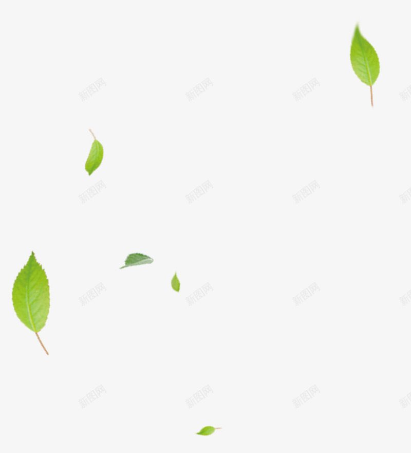 绿叶飘落漂浮png免抠素材_88icon https://88icon.com 免抠PNG 树叶 漂浮素材 绿叶 飘落