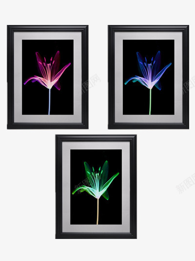 黑色相框挂画png免抠素材_88icon https://88icon.com 挂画图片 花元素 装饰画 黑色相框