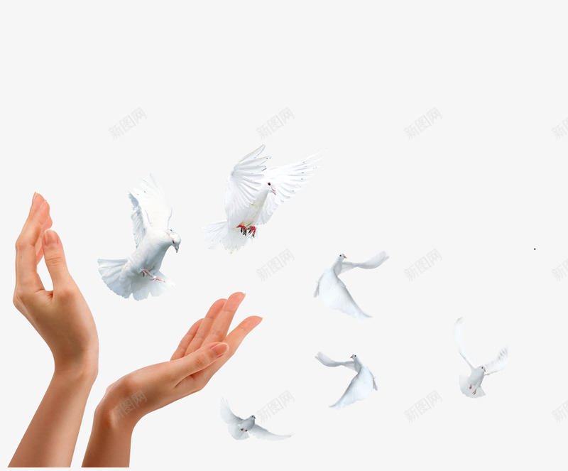 放飞白鸽png免抠素材_88icon https://88icon.com 和平鸽 手 手势 手鸽子 放飞 白鸽 鸽子
