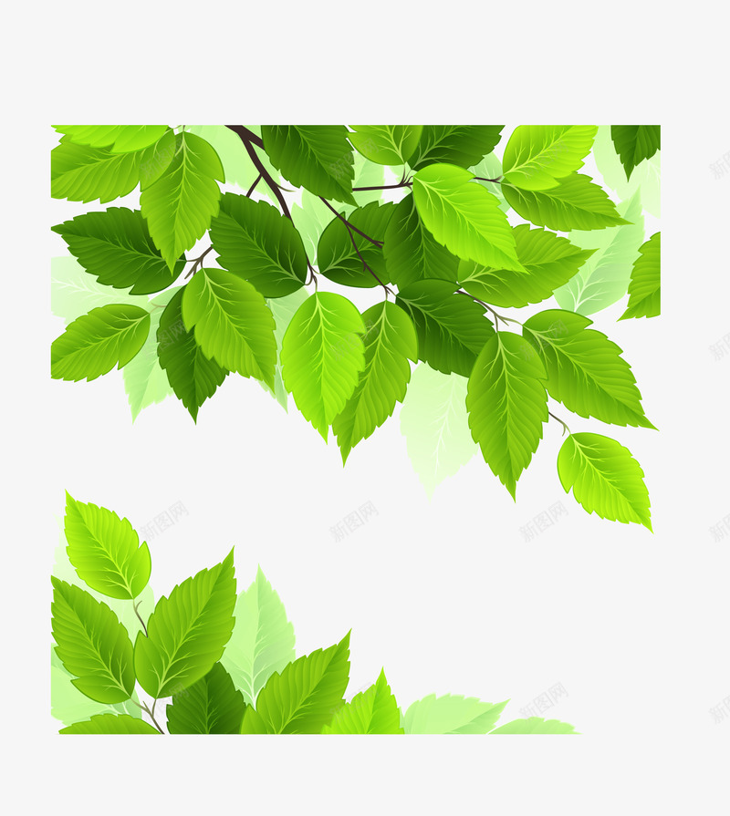 清新绿叶边框png免抠素材_88icon https://88icon.com 保护视力 春天 清新自然 矢量素材 绿色叶子