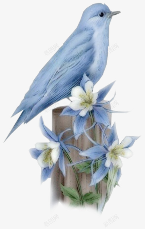 鸟类png免抠素材_88icon https://88icon.com 油画 生物世界 野生动物 飞禽 飞行动物 鸟类