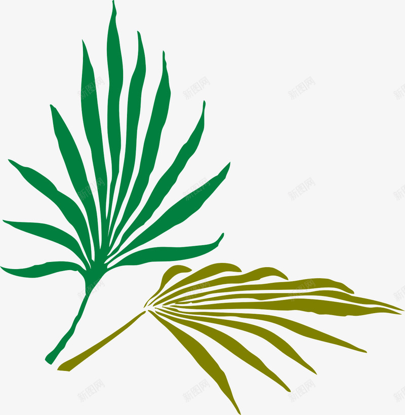 棕榈树叶片png免抠素材_88icon https://88icon.com 叶片 扇子 棕榈树 绿色