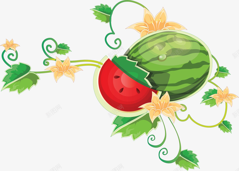 卡通手绘png免抠素材_88icon https://88icon.com 卡通 藤 西瓜
