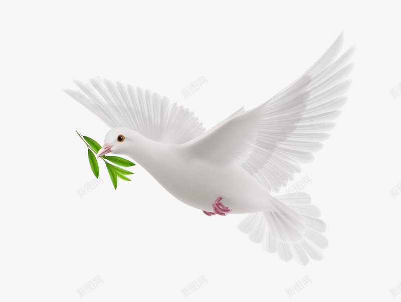 和平鸽庆国庆佳节png免抠素材_88icon https://88icon.com 十月一 和平象征 和平鸽 国庆象征 白鸽