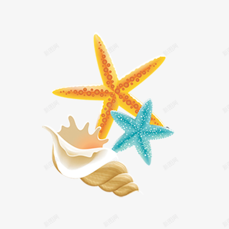 卡通沙滩贝壳png免抠素材_88icon https://88icon.com 卡通 星星 沙滩 贝壳